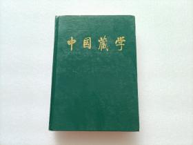 中国藏学（汉文版）1995年合订本  总第29-32期    精装本