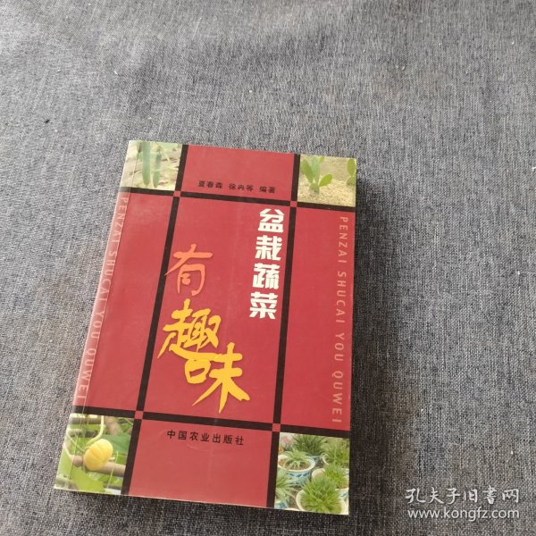 盆栽蔬菜有趣味