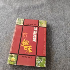 盆栽蔬菜有趣味