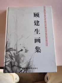 顾建生画集
