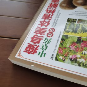 瘦身美体清热解毒：中草药妙用