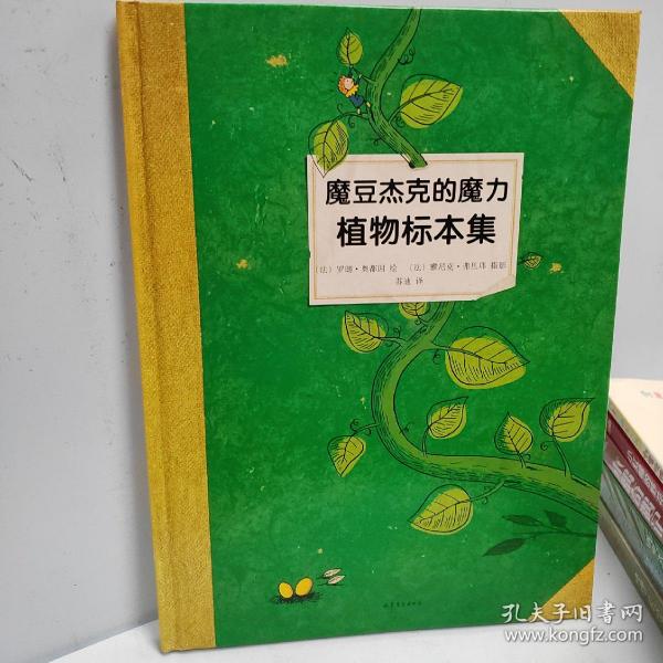 魔豆杰克的魔力植物标本集