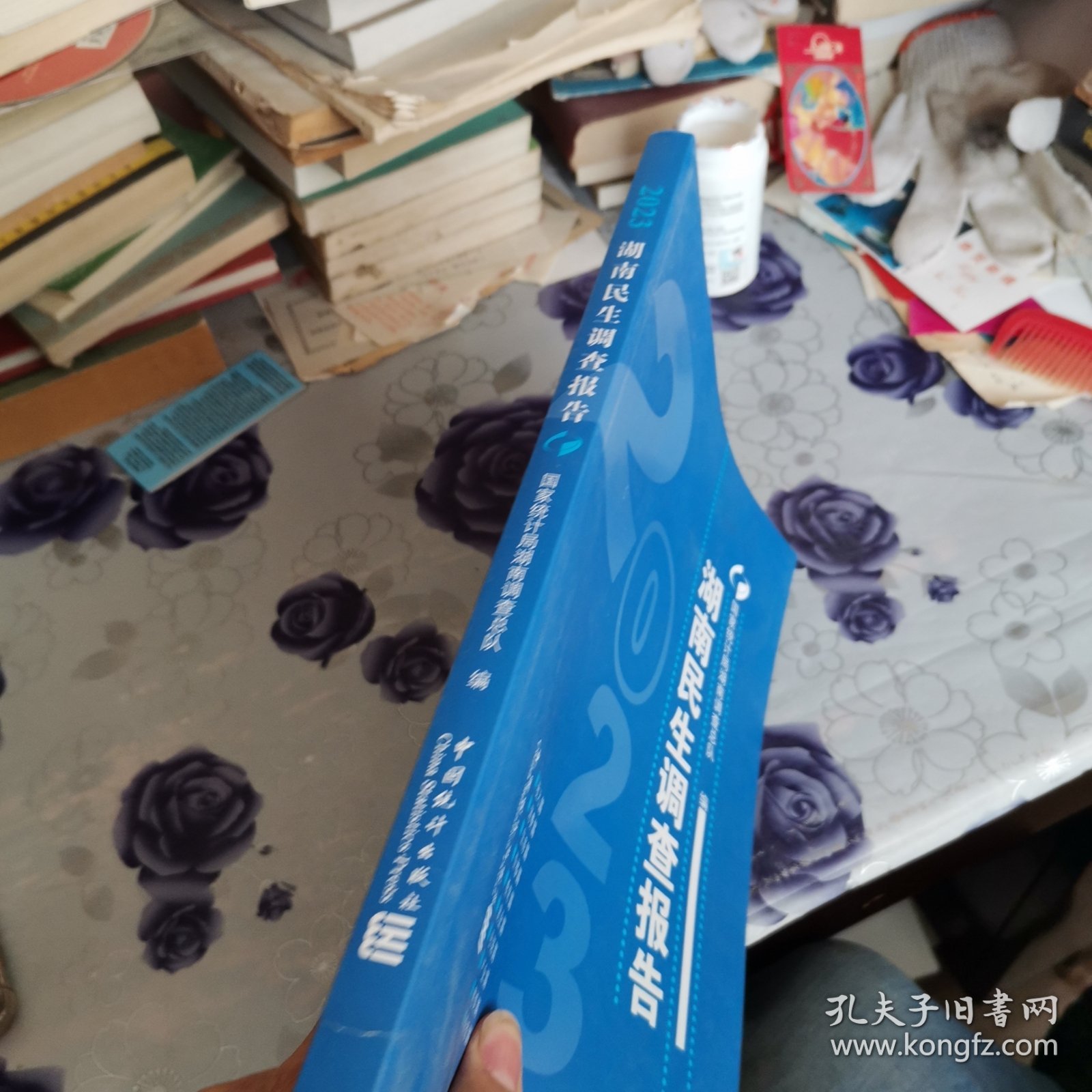 2023湖南民生调查报告