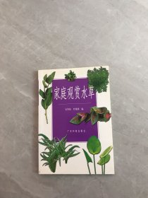 家庭观赏水草