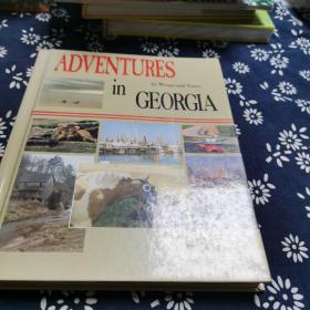 ADVENTURES IN GEORGIA