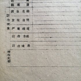 （五十年代）河南省卢氏县农业局：《河南省小麦管理档案表》（未使用）