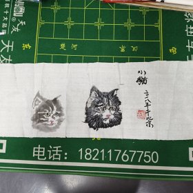 看不懂谁画的小猫？（看图拍）
