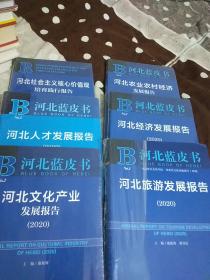 河北蓝皮书:人才、文化产业、农业农村经济、经济、旅游、河北社会主义核心价值观培育践行报告（6本合售）2020版