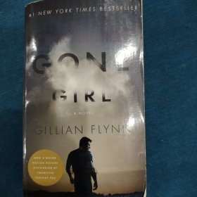 Gone Girl：A Novel