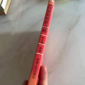 竞技麻将致胜奇略