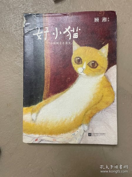 好小猫