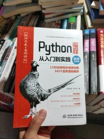 Python编程从入门到实践（微课视频版）