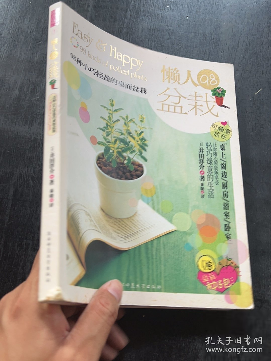 懒人98盆栽：98种小巧轻盈的桌面盆栽[日]井田洋介 著；秦晓 译