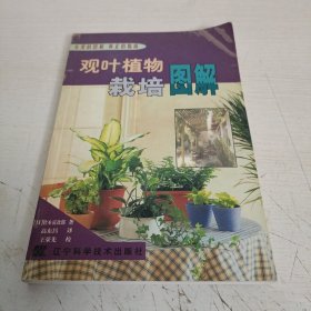 观叶植物栽培图解