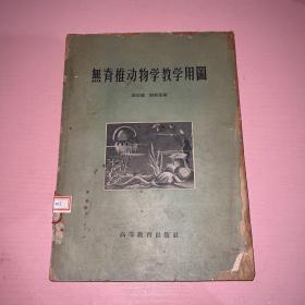 無脊椎动物学教学用圖
