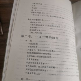 15至18世纪的物质文明、经济和资本主义 第一卷 日常生活的结构：可能和不可能