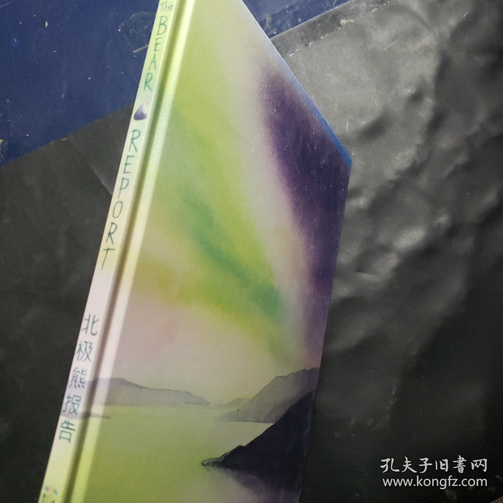 海豚双语绘本馆：北极熊报告（精）