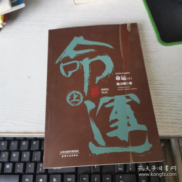 陆天明当代作品精选：命运（套装全2册）