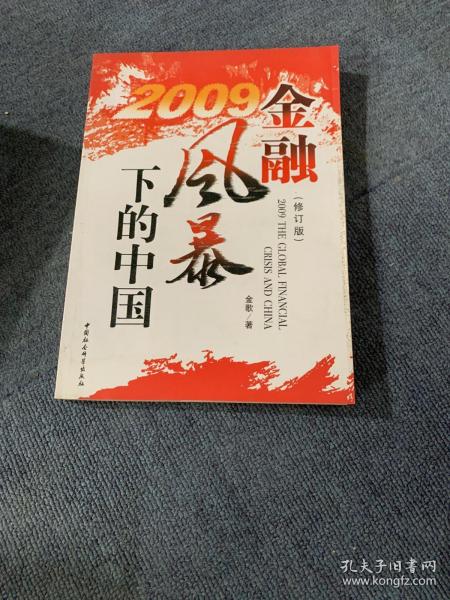 2009金融风暴下的中国