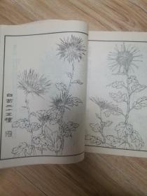 由里山人菊谱