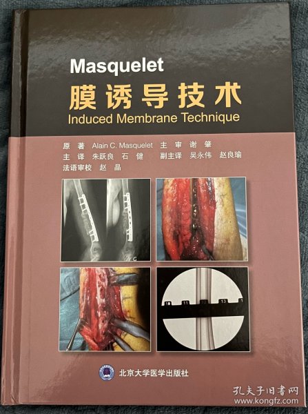 Masquelet 膜诱导技术