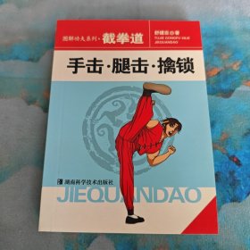 截拳道：手击·腿击·擒锁