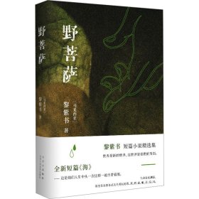 正版 野菩萨 (马来)黎紫书 北京十月文艺出版社