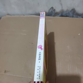 侯卫东官场笔记8：逐层讲透村、镇、县、市、省官场现状的自传体小说