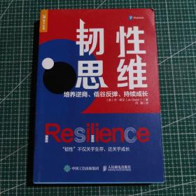 韧性思维：培养逆商、低谷反弹、持续成长