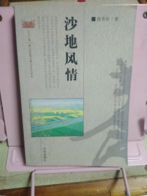 沙地风情