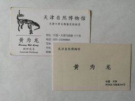 黄为龙（天津自然博物馆研究员）名片两张（黄的祖父清朝末代知府黄曾源、父亲著名金石专家黄孝纾）