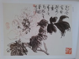 荣宝斋画谱213：牡丹芍药部分