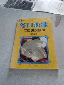 冬日恋歌毛衣编织实例/手工坊时尚毛衣款式编织系列