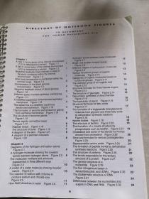 STUDENT STUDY Art Notebook STUART IRA FOX Human Physiology 人体理学