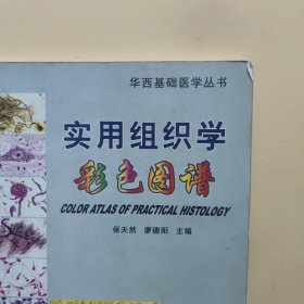 实用组织学彩色图谱（原书实物拍的照片，铜版纸印刷，内页干净无笔记，详细参照书影）客厅2-2