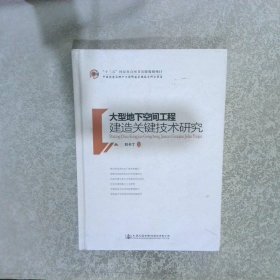 大型地下空间工程建造关键技术研究