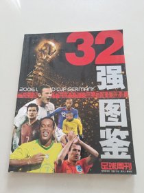 2006年世界杯32强图鉴