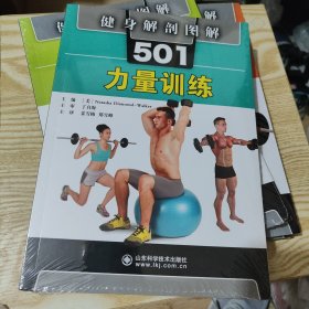健身解剖图解501：力量训练