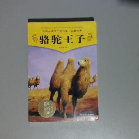 骆驼王子