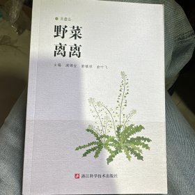 野菜离离