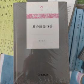 社会的恶与善(光启文库)