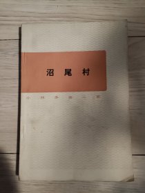 沼尾村