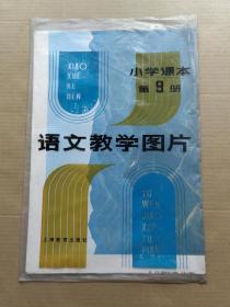 小学课本语文教学图片第九册（全10张 存8张）