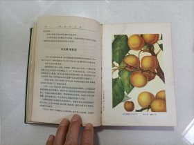 米丘林全集（第二卷）