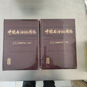 中国石油地质志 第二版卷二十五 南海油气区 上下 正版现货未开封