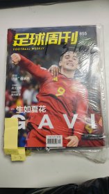 足球周刊855.2022.12.01 //3-711