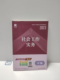 社会工作实务（中级）