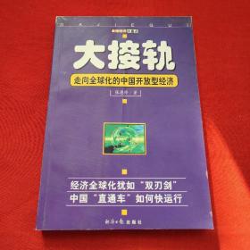 大接轨：走向全球化的中国开放型经济