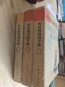 布拉热洛纳子爵 上中下