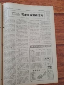 公社社员1965.8.26